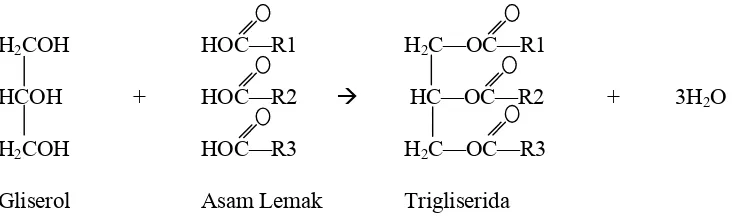 Gambar 2.1  Reaksi pembentukan trigliserida                        (Sumber: Mc. Murry, 2008)  