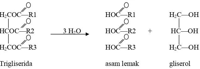 Gambar 2.3  Reaksi hidrolisis trigliserida (Sumber: Boyer, 1986)  