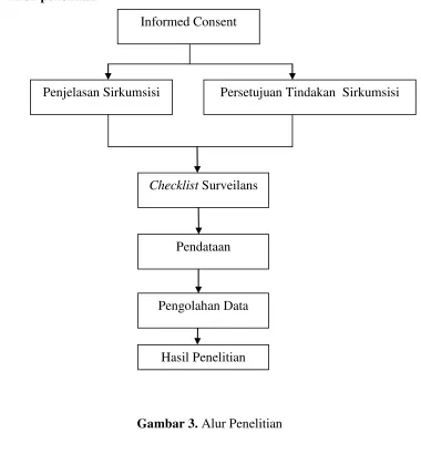 Gambar 3. Alur Penelitian 