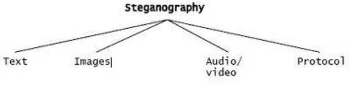 Gambar 2.4 Empat Kategori Utama Format File Steganografi 