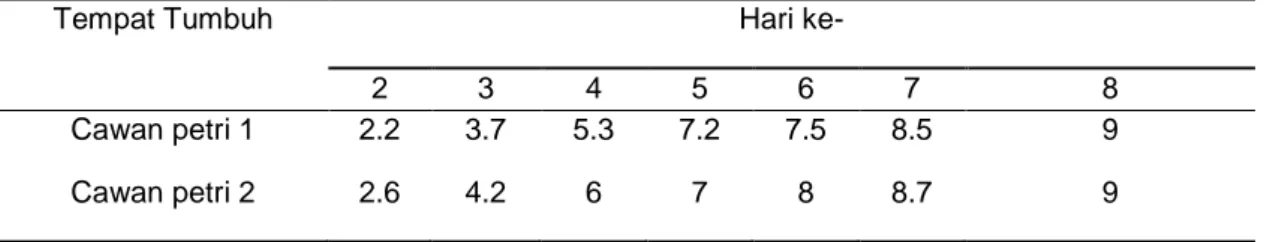 Tabel 1. Pengamatan diameter hifa T. versicolor pada  media PDA (cm) 