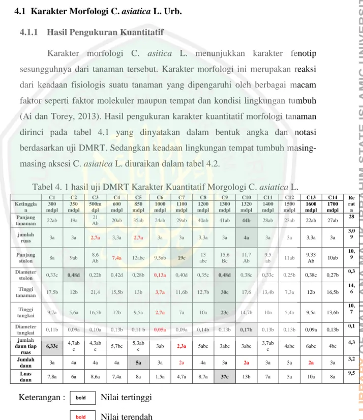 Tabel 4. 1 hasil uji DMRT Karakter Kuantitatif Morgologi C. asiatica L. 