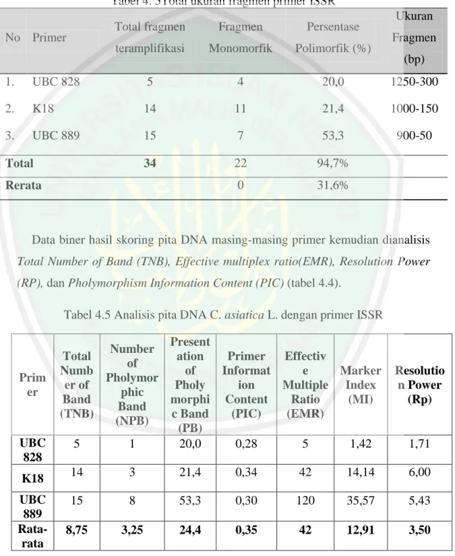 Tabel 4. 5Total ukuran fragmen primer ISSR  No  Primer  Total fragmen 
