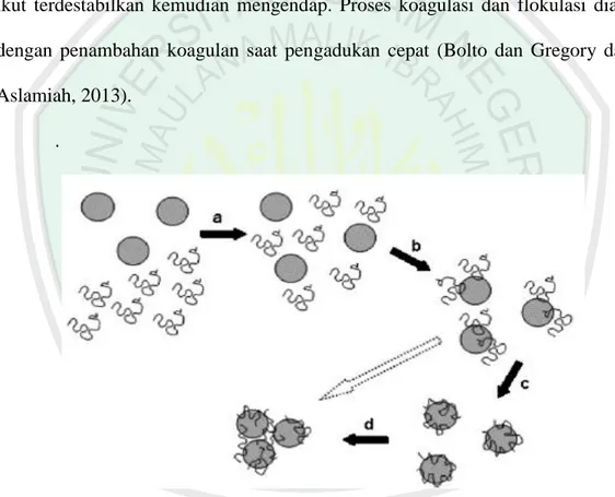 Gambar 2.2 Mekanisme koagulasi dugaan dengan protein kationik      (Bolto dan Gregory dalam Aslamiah, 2013)