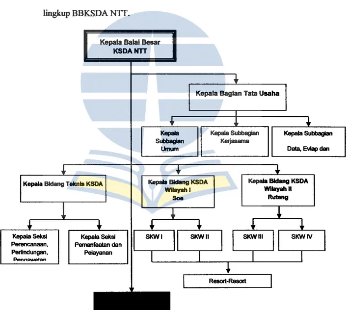 Gambar  4.1  Struktur Organisasi BBKSDA  NIT  Sumber: BBKSDA NTI  (2016). 