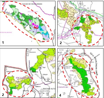 Gambar (Figure) 10. Situasi habitat macan tutul jawa di hutan tanaman pinus yang terisolasi di (1) RPH 