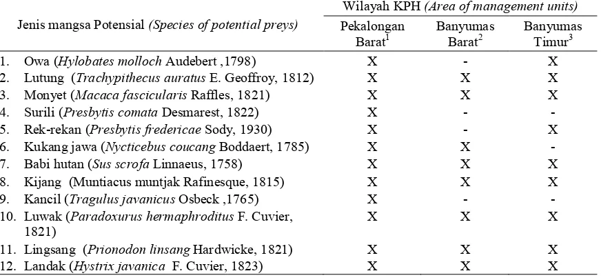 Tabel (Table) 3.   Satwa mangsa potensial macan tutul jawa di tiga lokasi penelitian (Potential preys of javan leopard in three research locations)
