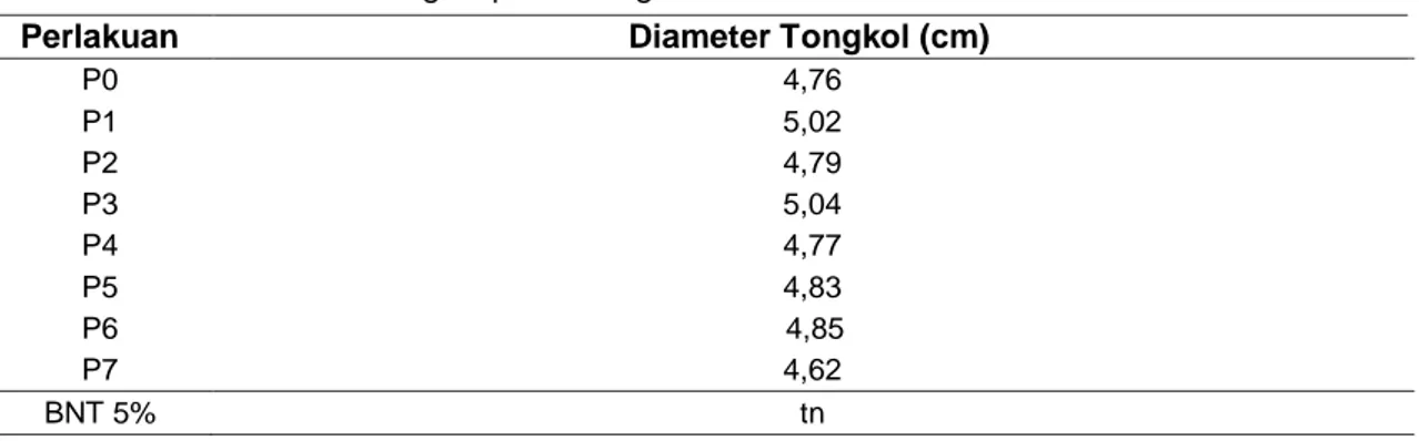 Tabel 7 Rerata Diameter Tongkol pada Pengamatan Panen 
