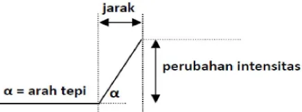 Gambar 2.7. Model Tepi Satu Dimensi 