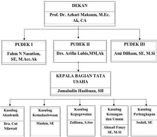 Gambar 2.1. Struktur Organisasi Fakultas Ekonomi dan Bisnis Universitas Sumatera Utara 