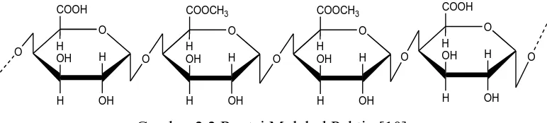 Gambar 2.2 Rantai Molekul Pektin [10] 