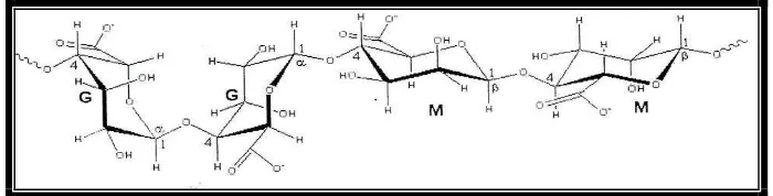 Gambar 5. Struktur M: - D asam mannuronat dan G: - L asam guluronat.29