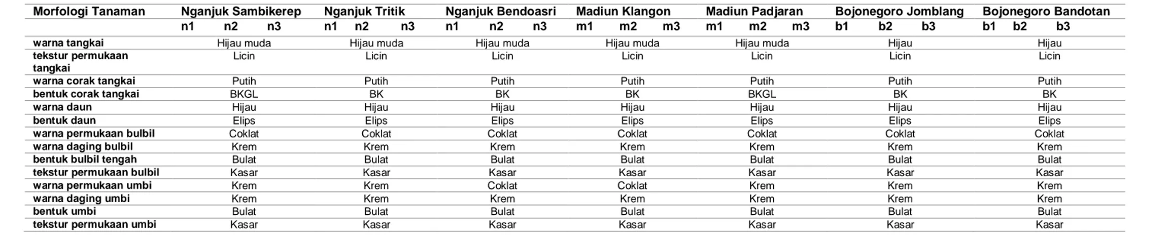 Tabel 1 Data Pengelompokan Karakter Kualitatif Tanaman Porang di Kabupaten Nganjuk, Madiun, dan Bojonegoro 
