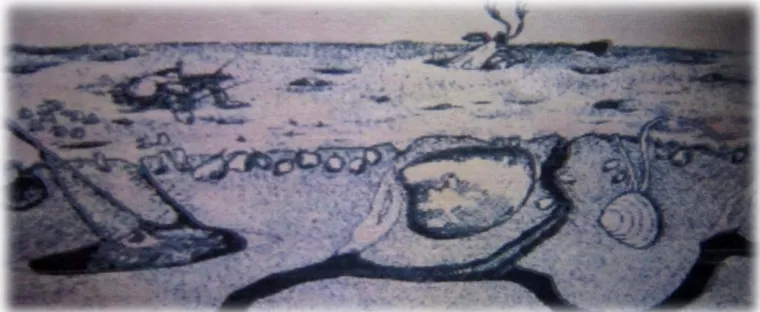 Gambar 3.4.  Makrozoobentos yang hidup di atas dan di dalam substrat  dasar perairan (Cummins, 1975 dalam Setiawan, 2008)
