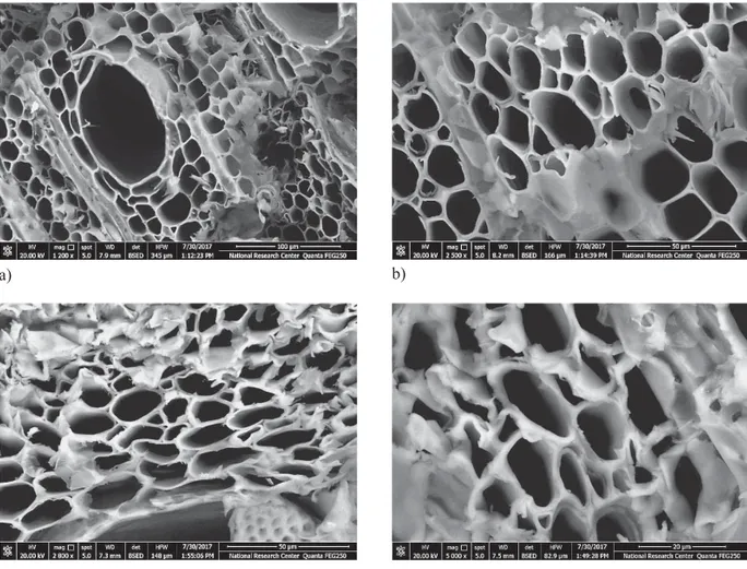Figure 4 SEM micrographs of F. sylvatica samples treated with O. majorana oil, a, b - treated by spraying; c, d - treated by  immersion