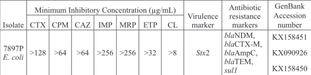 table 2. Minimum inhibitory concentration, virulence and antibiotic resistance markers   of E