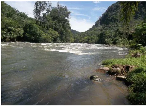 Gambar 3.4. Sungai Parhitean 