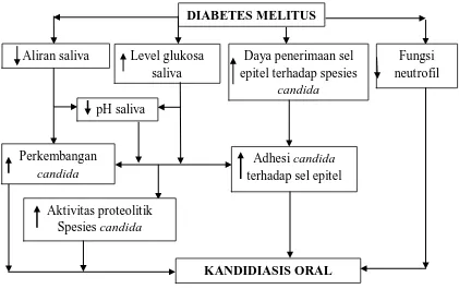 Gambar 7. Mekanisme terjadinya kandidiasis mulut pada penderita diabetes.34