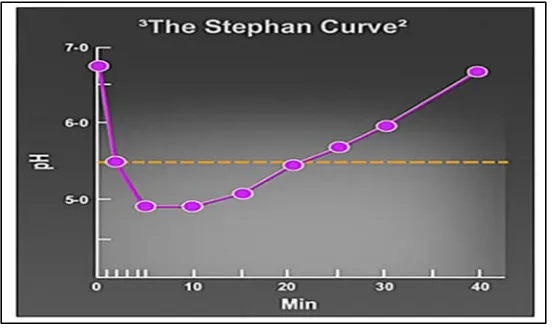 Gambar 2. Kurva Stephan, grafik yang menggambarkan  penurunan dan peningkatan pH dalam satuan menit setelah mengonsumsi karbohidrat.30 