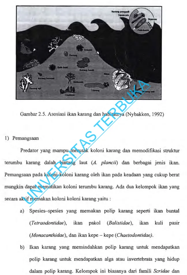 Gambar 2.5.  Asosiasi ikan karang  dan  habitatnya (Nybakken,  1992) 