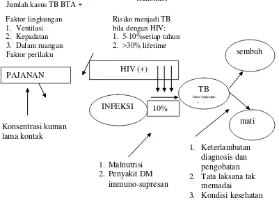 Gambar 1, Faktor risiko kejadian TB 17 