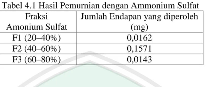 Tabel 4.1 Hasil Pemurnian dengan Ammonium Sulfat  Fraksi 
