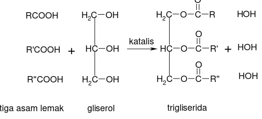 Gambar 2.1 Jenis-jenis Lipid (a) lemak triacygliserol; (b) steroid; (c) 
