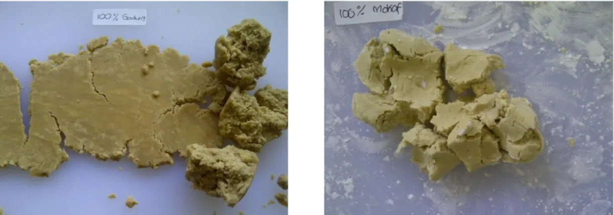 Gambar 3. Adonan yang Terbuat dari 100% Tepung Gadung (Kiri) dan 100% Mocaf  (Kanan) 
