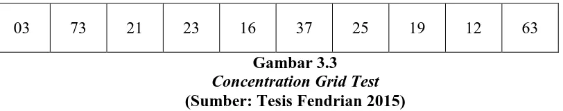 Gambar 3.3 Concentration Grid Test 