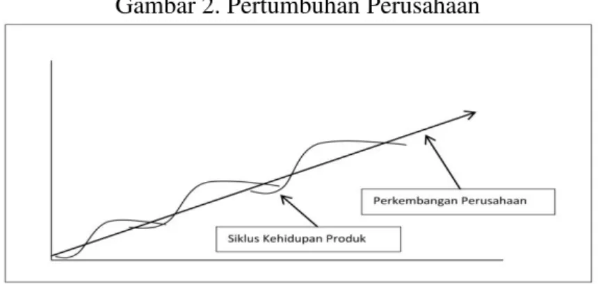 Gambar 2. Pertumbuhan Perusahaan 