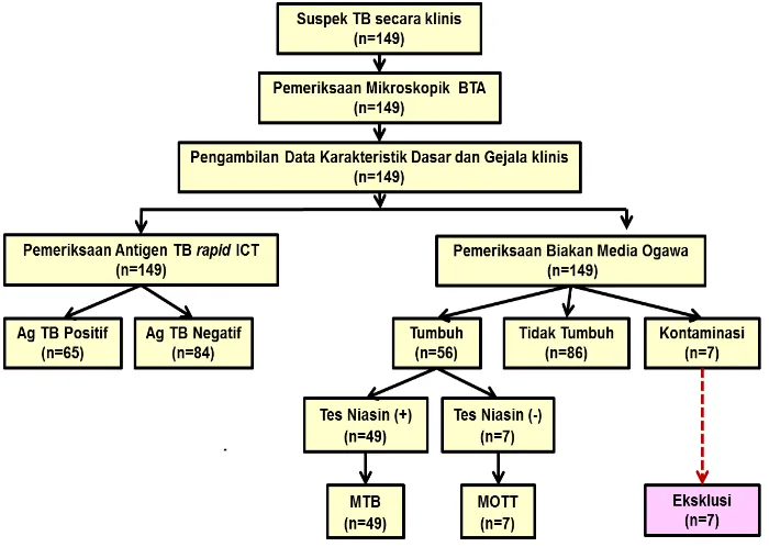 Tabel 2 Hasil Pemeriksaan Biakan M. tuberculosis pada Media Ogawa dan Antigen TB Rapid  ICT