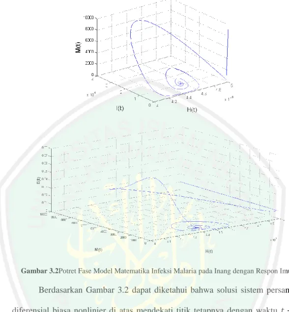 Gambar 3.2Potret Fase Model Matematika Infeksi Malaria pada Inang dengan Respon Imun 