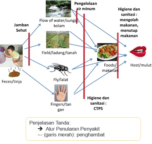 Gambar 6: Alur Penularan Penyakit (Diagram F)