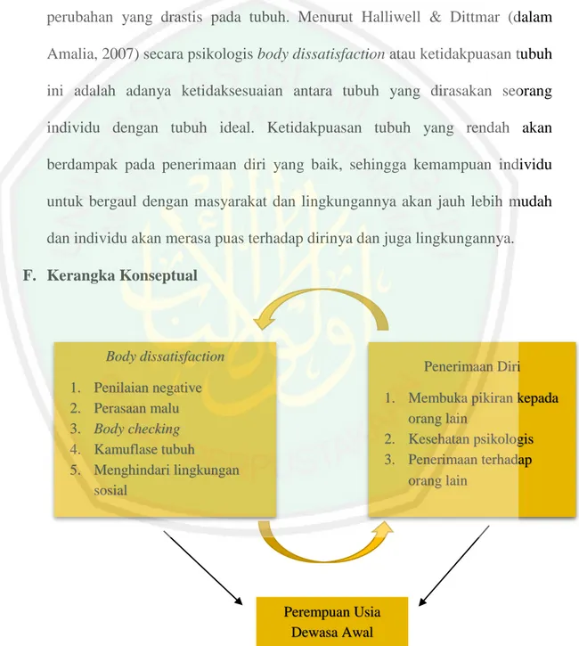 Gambar  2.1.  Skema  kerangka  Konseptual  Hubungan  Ketidakpuasan  Tubuh  dengan  Penerimaan  Diri pada Perempuan Usia Dewasa Awal (18 – 25 tahun) di Kota Malang