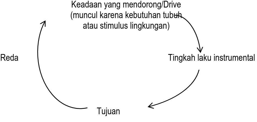 Gambar di bawah ini menunjukkan siklus motif, khususnya motif dengan basis biologis:  Keadaan yang mendorong/Drive 