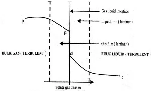 Gambar 1. Skematik mekanisme transfer gas 
