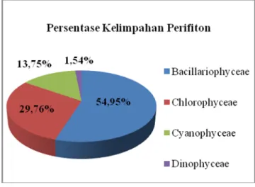 Gambar 1. Persentase kelimpahan perifiton 