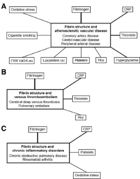 Gambar 2.7. Struktur bekuan fibrin dan penyakit tromboemboli (Undas, 2011). 