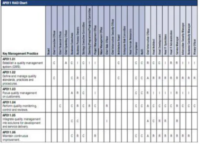 Gambar 2-8 Raci Chart [Sumber : ISACA,  2012] 