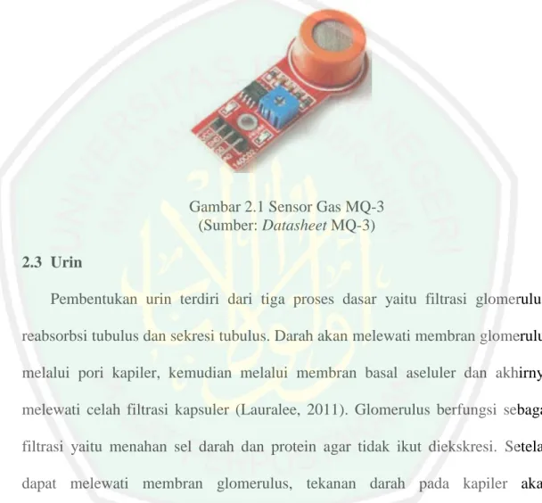 Gambar 2.1 Sensor Gas MQ-3  (Sumber: Datasheet MQ-3)  2.3  Urin  
