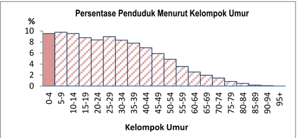 Gambar 1. Diagram Batang Persentase Penduduk Indonesia Per Kelompok Umur Tahun 2010   Sumber: BPS, 2010 