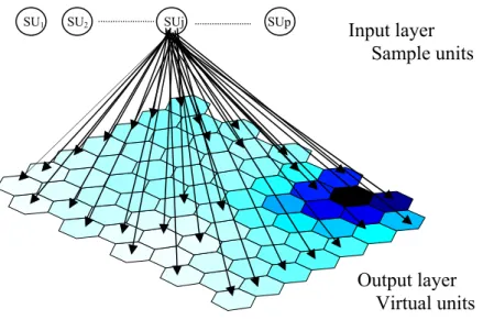 Fig. 2. The structure of the SOM neural network 