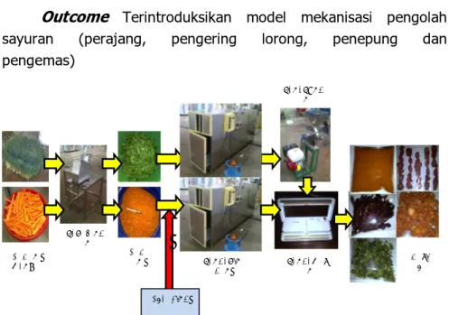 Gambar 8. Model Mekanisasi Pengolahan Sayuran Kapasitas 500 kg/hari 