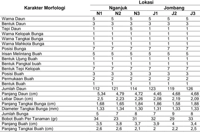 Tabel 3. Hasil Karakterisasi Cabai Rawit di Kabupaten Nganjuk dan Jombang  Karakter Morfologi  Lokasi Nganjuk  Jombang  N1  N2  N3  J1  J2  J3  Warna Daun  5  5  5  5  5  5  Bentuk Daun  3  3  3  3  3  3  Tepi Daun  1  1  5  1  1  1 
