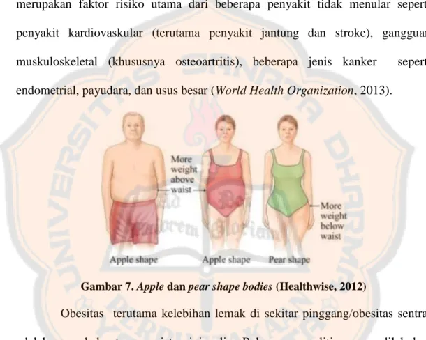 Gambar 7. Apple dan pear shape bodies (Healthwise, 2012) 