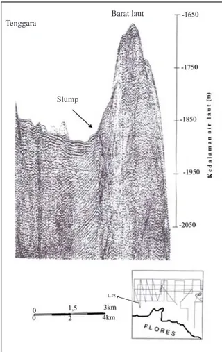 Gambar 8. Rekaman seismik pantul L-66.