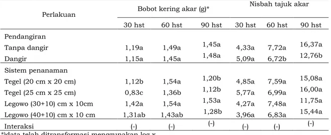 Tabel 6.  Bobot kering akar (g) dan Nisbah Tajuk Akar (NTA) pada pendangiran dan sistem  penanaman  