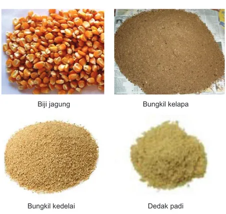 Gambar 5.  Beberapa jenis bahan pakan konvensional 