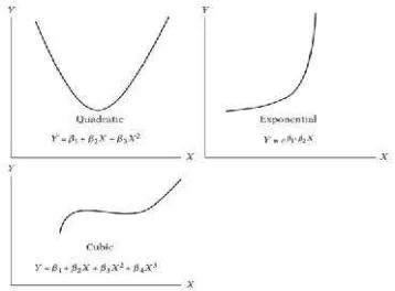 Gambar 2.4  Fungsi linear dalam parameter 