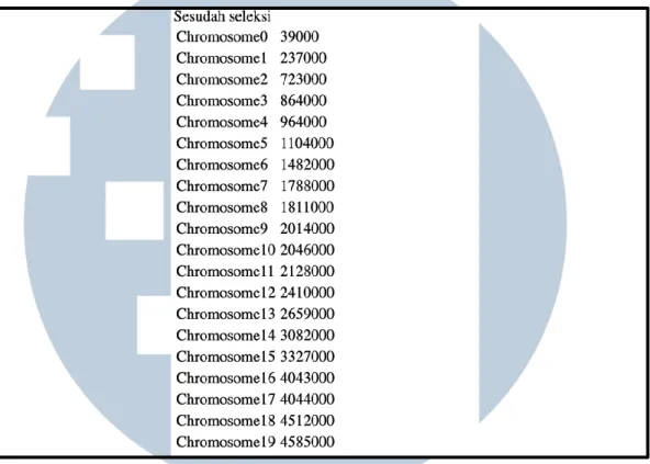 Gambar 4.21 dan Gambar 4.22 menampilkan 40  Chromosome  yang akan  dilakukan seleksi, akan diambil sebanyak 20 chromosome dengan fitness terbaik 